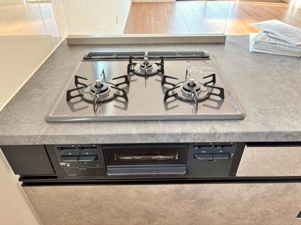 �_�ސ쌧���l�s����{�h���̐V�z��ˌ��ẴL�b�`��