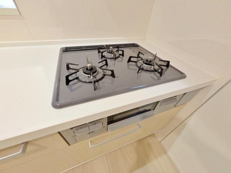 �_�ސ쌧���͌��s���L���̐V�z��ˌ��ẴL�b�`��