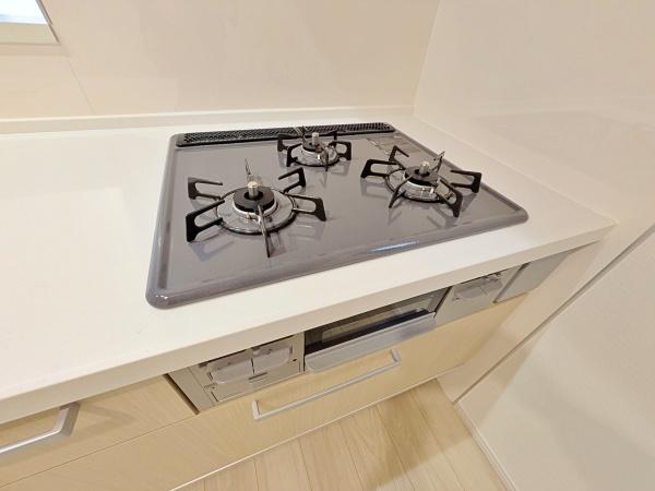 �_�ސ쌧���͌��s���L���̐V�z��ˌ��ẴL�b�`��