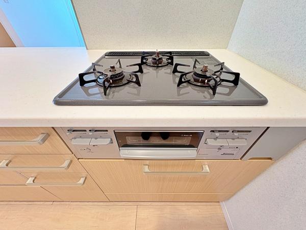 �_�ސ쌧����s�݂��̑�̒��È�ˌ��Ẳ摜