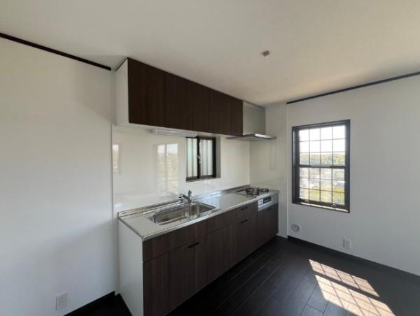 �_�ސ쌧���l�s���V�����̒��È�ˌ��ẴL�b�`��