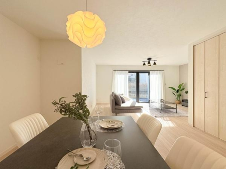 �_�ސ쌧���l�s��q�搙�c8���ڂ̐V�z��ˌ��Ẵ��r���O