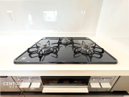 �_�ސ쌧���l�s���搼�|�V�ۂ̒��Ã}���V�����̃L�b�`��