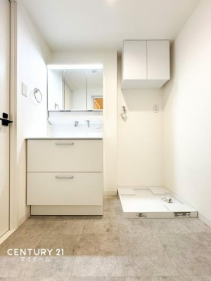 �_�ސ쌧���l�s���搼�|�V�ۂ̒��Ã}���V�����̐��ʑ�E���ʏ�