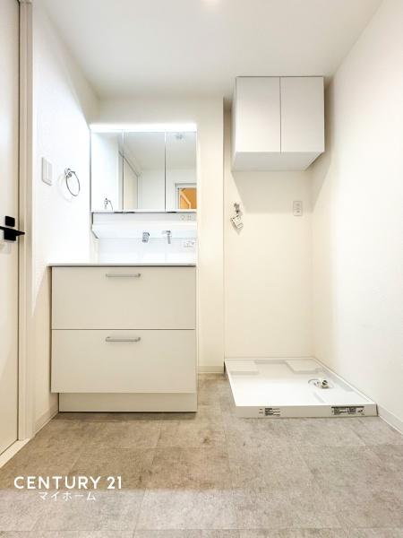 �_�ސ쌧���l�s���搼�|�V�ۂ̒��Ã}���V�����̐��ʑ�E���ʏ�