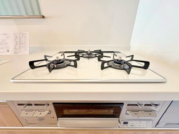 �_�ސ쌧���l�s�h��ѓ����̒��È�ˌ��ẴL�b�`��