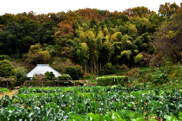 �_�ސ쌧���l�s�h��ѓ����̒��È�ˌ��Ă̎��ӊ�