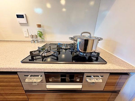 �_�ސ쌧���l�s����r�܂̒��Ã}���V�����̂��̑�