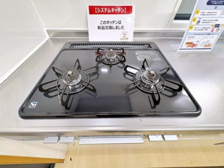 �_�ސ쌧���l�s�h�挳�勴1���ڂ̒��È�ˌ��ẴL�b�`��