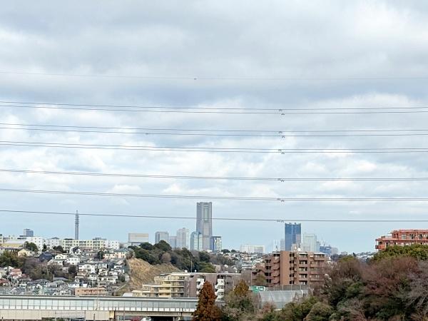 �_�ސ쌧���l�s�ۓy�P�J��@��3���ڂ̒��Ã}���V�����̏Z�˂���̒��]�ʐ^