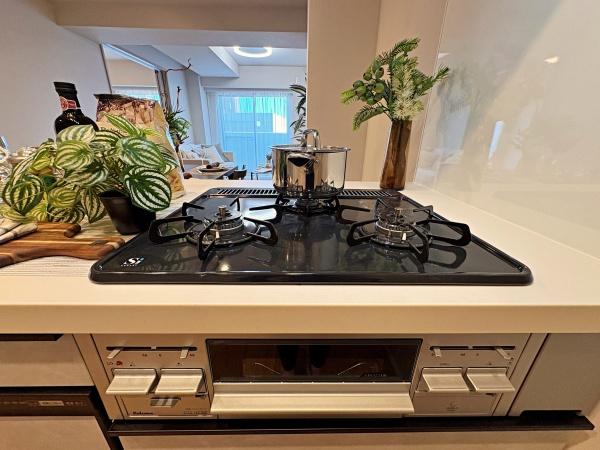 �_�ސ쌧���l�s��攒����3���ڂ̒��Ã}���V�����̓��d�l�ʐ^(�L�b�`���j