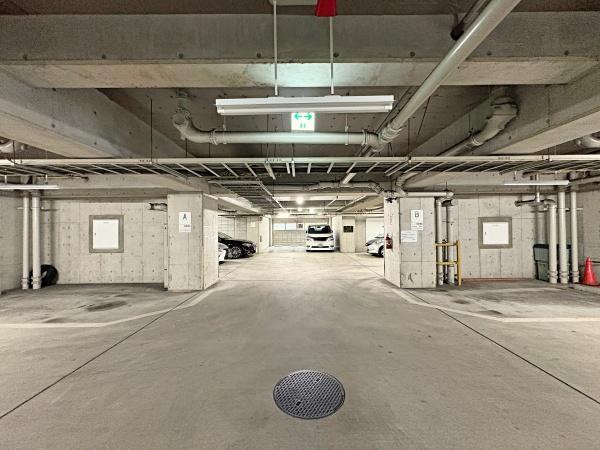 �_�ސ쌧���l�s��攒����3���ڂ̒��Ã}���V�����̂��̑����p��