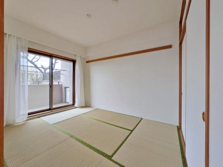 �_�ސ쌧���l�s�t��s�P�����̒��Ã}���V�����̘a��