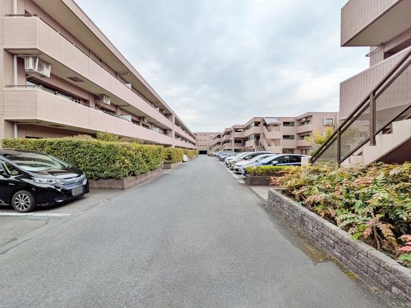 �_�ސ쌧���l�s�t��s�P�����̒��Ã}���V�����̉摜