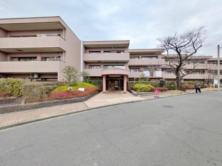 �_�ސ쌧���l�s�t��s�P�����̒��Ã}���V�����̉摜