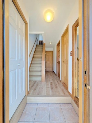 �_�ސ쌧���l�s�t�抛�u�c���̒��È�ˌ��Ă̌���