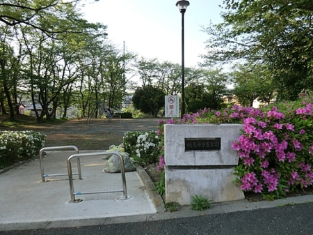 �_�ސ쌧���l�s�t�抛�u�c���̒��È�ˌ��Ă̎��ӊ�