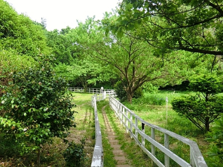 �_�ސ쌧���s�����摽����1���ڂ̓y�n�̎��ӊ�