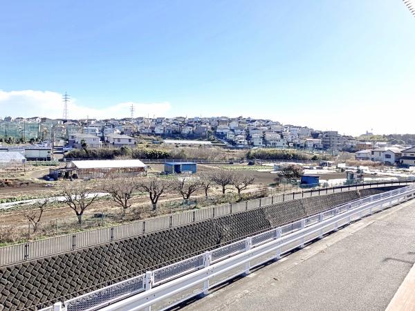 �_�ސ쌧���l�s�˒ˋ拂�򒬂̒��È�ˌ��Ă̑O�ʓ��H�܂ތ��n�ʐ^