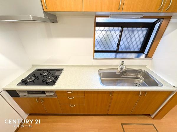 �_�ސ쌧����s�T���̒��È�ˌ��ẴL�b�`��