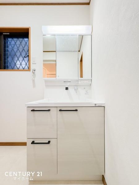 �_�ސ쌧����s�T���̒��È�ˌ��Ă̐��ʑ�E���ʏ�