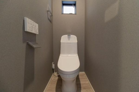 �_�ސ쌧���s������O�c3���ڂ̒��È�ˌ��Ẵg�C��