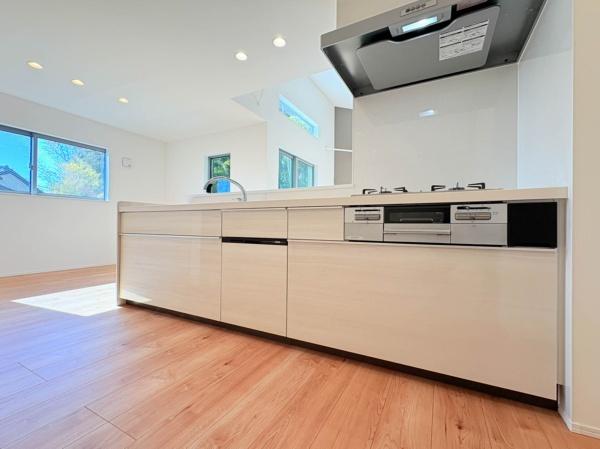 �_�ސ쌧���l�s�h��ѓ����̐V�z��ˌ��ẴL�b�`��