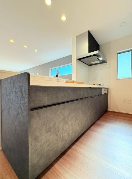 �_�ސ쌧���l�s�h��ѓ����̐V�z��ˌ��ẴL�b�`��