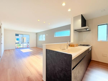 �_�ސ쌧���l�s�h��ѓ����̐V�z��ˌ��ẴL�b�`��