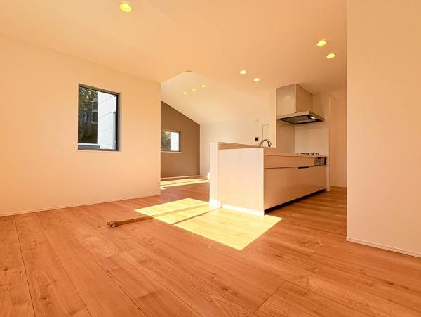 �_�ސ쌧���l�s�h��ѓ����̐V�z��ˌ��Ẵ��r���O