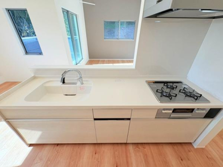 �_�ސ쌧���l�s�h��ѓ����̐V�z��ˌ��ẴL�b�`��