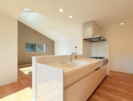 �_�ސ쌧���l�s�h��ѓ����̐V�z��ˌ��ẴL�b�`��