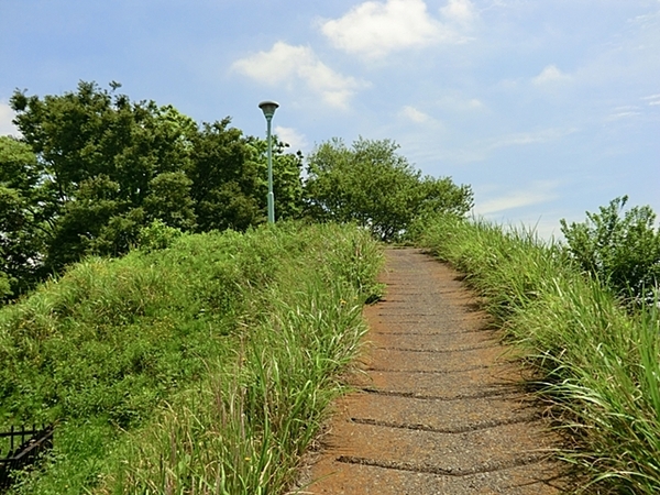 �_�ސ쌧��a�s����5���ڂ̒��È�ˌ��Ă̎��ӊ�