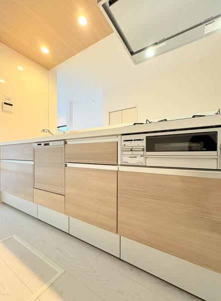 �_�ސ쌧���l�s�t��ᑐ��̐V�z��ˌ��ẴL�b�`��