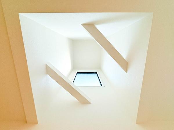 �_�ސ쌧���l�s�t��ᑐ��̐V�z��ˌ��Ẳ摜