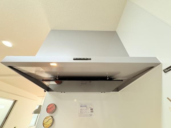 �_�ސ쌧���l�s�ߌ���哌���̒��È�ˌ��Ẳ摜