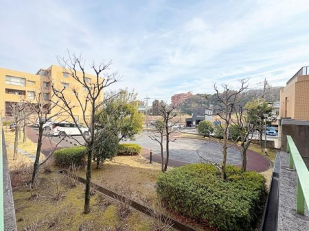 �_�ސ쌧���l�s�ۓy�P�J��@��1���ڂ̒��Ã}���V�����̂��̑����p��