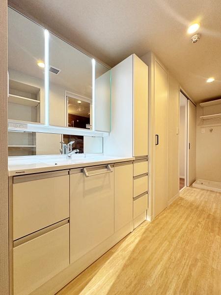 �_�ސ쌧���l�s�΋�O�ے��̒��Ã}���V�����̐��ʑ�E���ʏ�