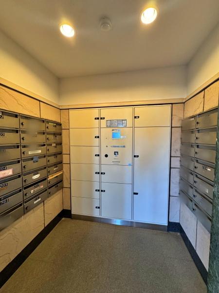 �_�ސ쌧���l�s�s�}�捲�]�˒��̒��Ã}���V�����̂��̑�