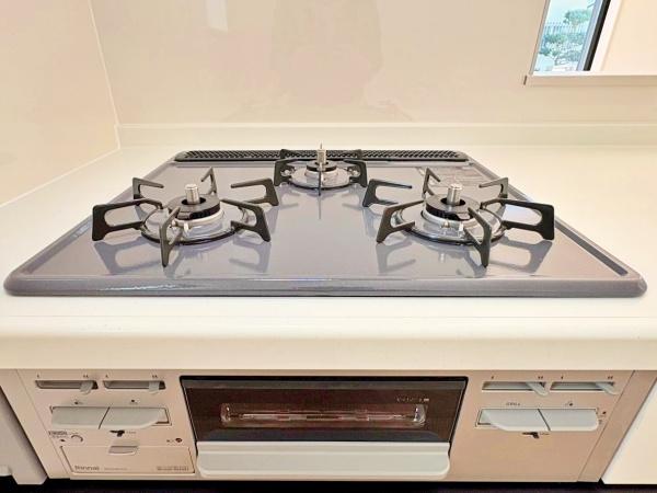 �_�ސ쌧���l�s�ۓy�P�J�抙�J���̐V�z��ˌ��ẴL�b�`��