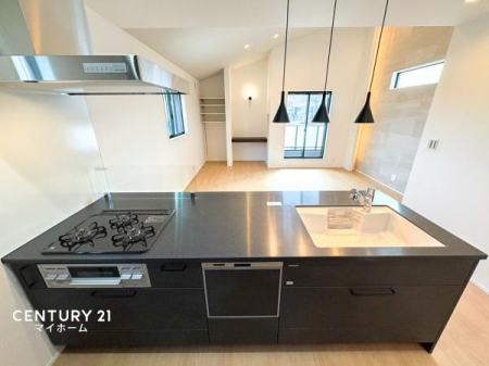 �_�ސ쌧���l�s�_�ސ�搛�c���̐V�z��ˌ��ẴL�b�`��