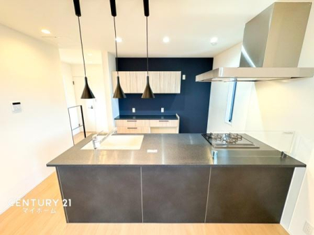 �_�ސ쌧���l�s�_�ސ�搛�c���̐V�z��ˌ��ẴL�b�`��