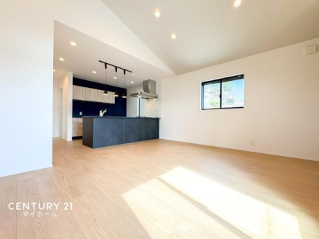 �_�ސ쌧���l�s�_�ސ�搛�c���̐V�z��ˌ��Ẵ��r���O