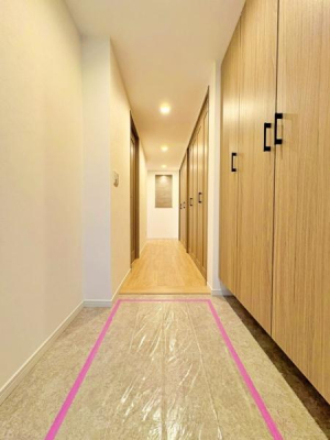 �_�ސ쌧���l�s���i�c�R����̒��Ã}���V�����̌���