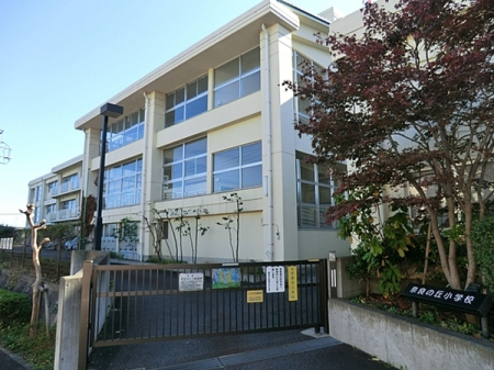 �_�ސ쌧���l�s�t�悷�݂悵��̒��È�ˌ��Ă̎��ӊ�