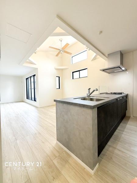 �_�ސ쌧���l�s���剪3���ڂ̐V�z��ˌ��ẴL�b�`��