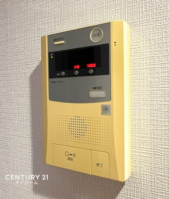 �_�ސ쌧���l�s�_�ސ��_�厛1���ڂ̒��Ã}���V�����̂��̑�