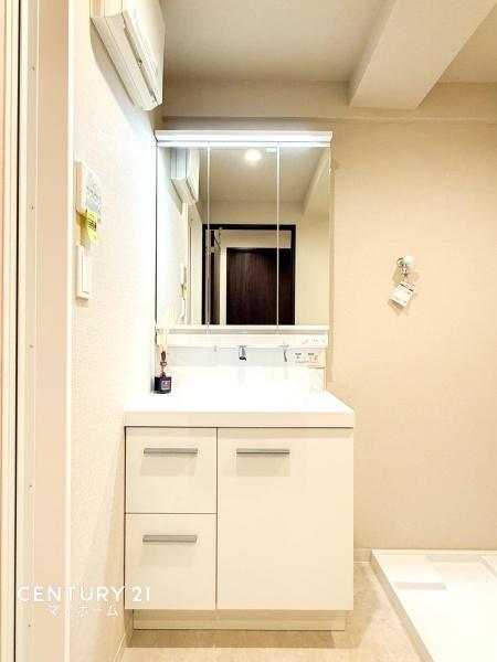 �_�ސ쌧���l�s�_�ސ��_�厛1���ڂ̒��Ã}���V�����̐��ʑ�E���ʏ�