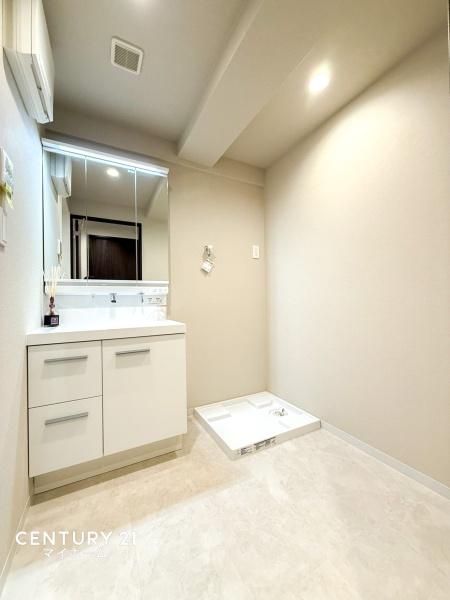 �_�ސ쌧���l�s�_�ސ��_�厛1���ڂ̒��Ã}���V�����̐��ʑ�E���ʏ�