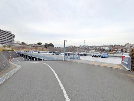 �_�ސ쌧���l�s�ۓy�P�J�敧�����̒��Ã}���V�����̉摜